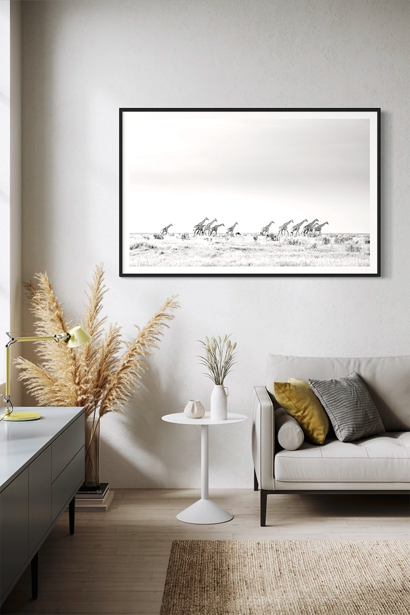 Girafes dans les plaines de Chobe - Photo d'art