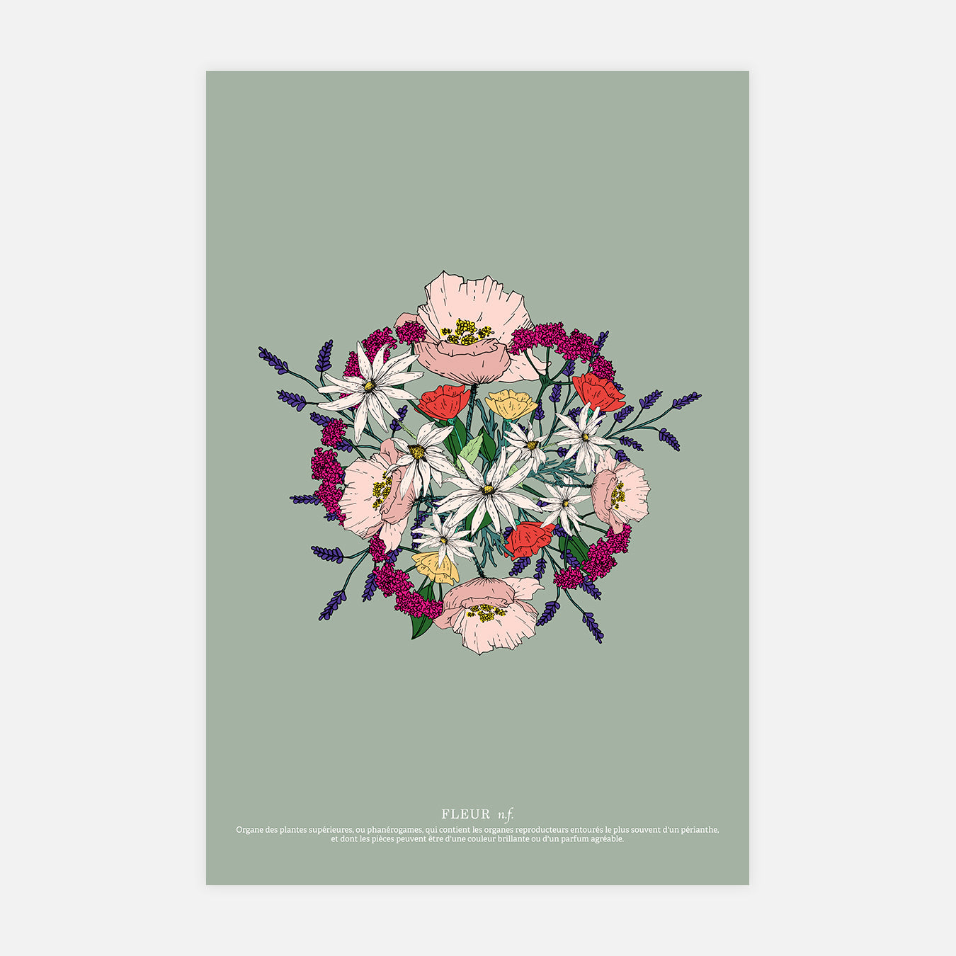 Herbiers - Illustration d'art