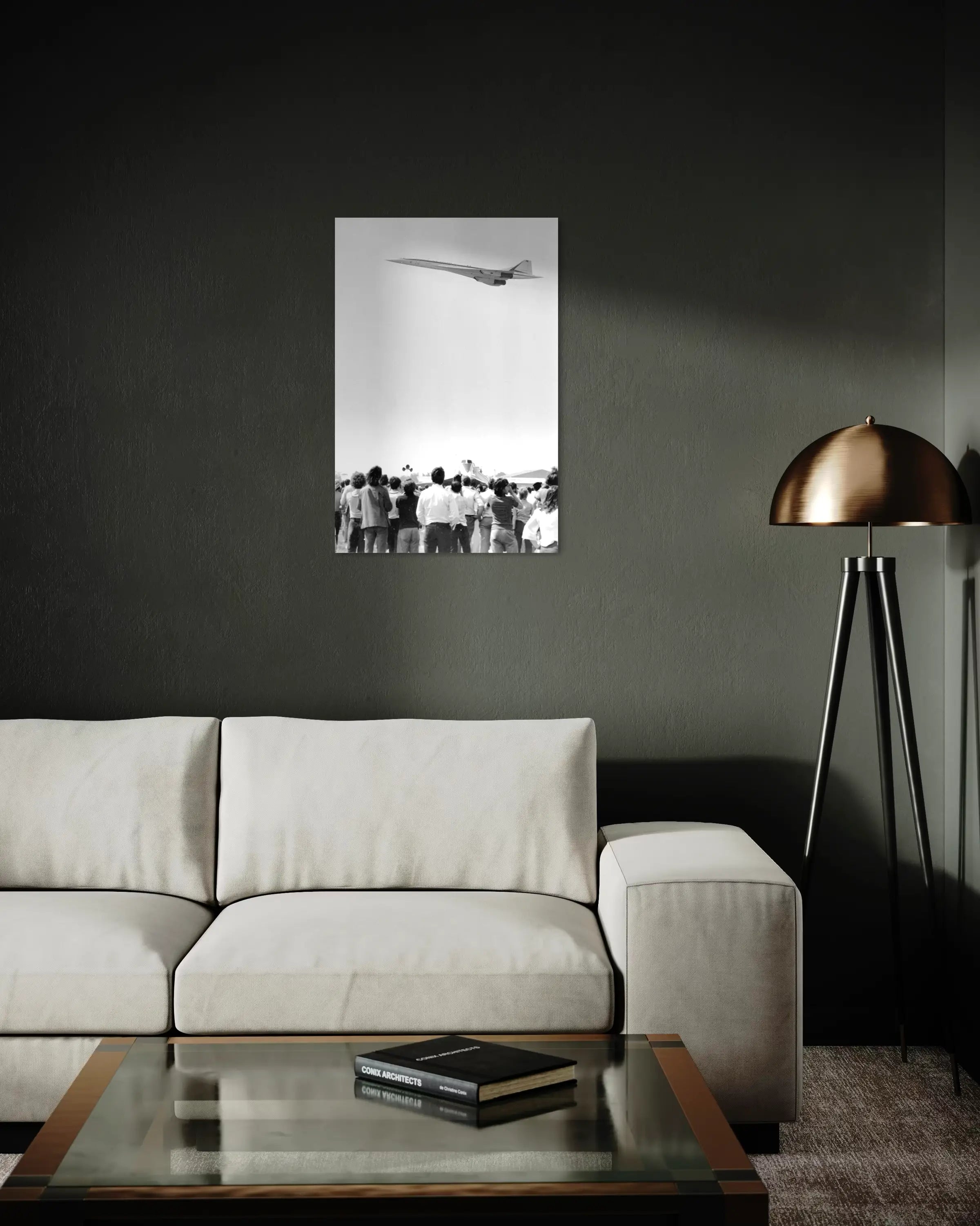 Avion supersonique Concorde - Photo d'art