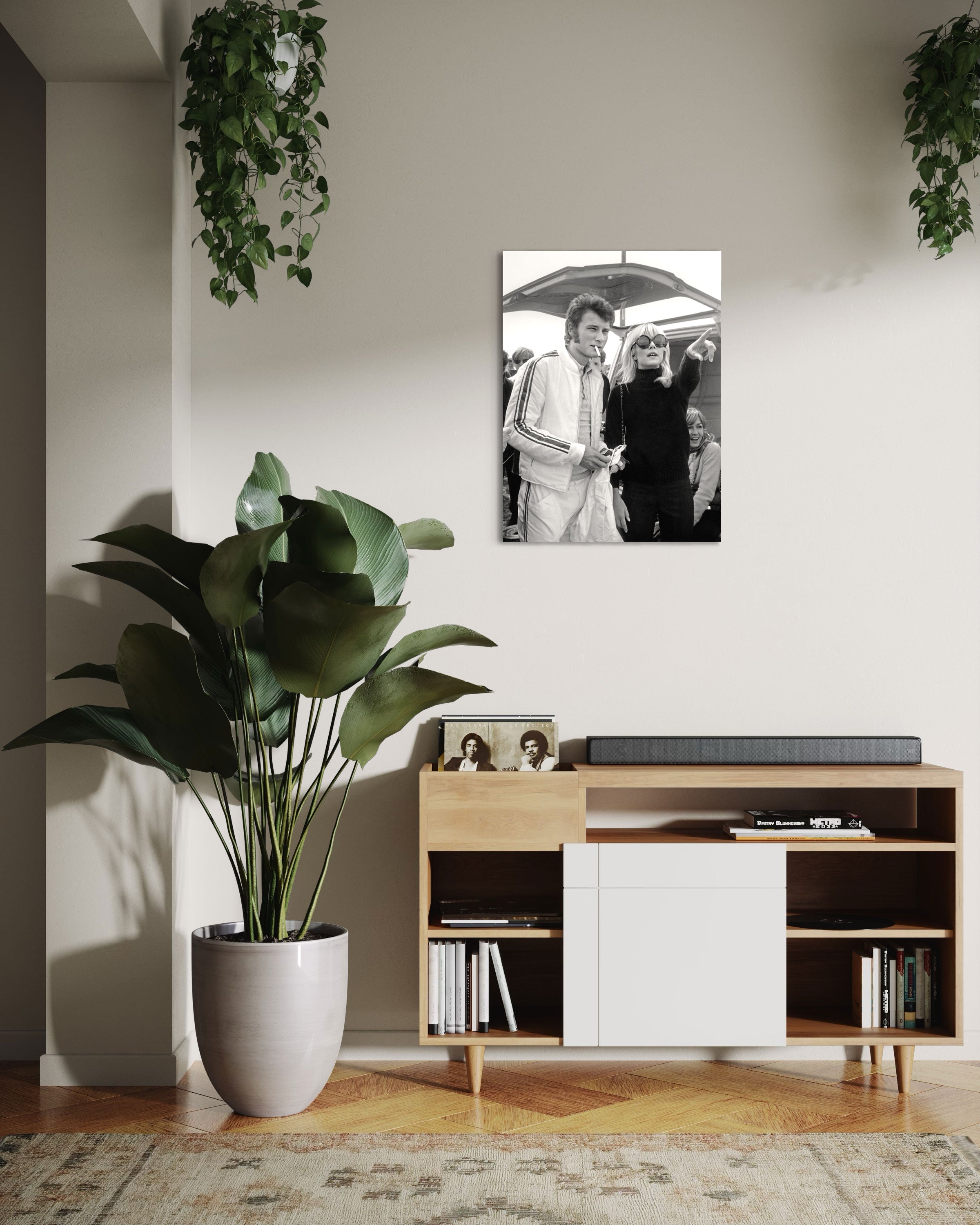 Johnny Hallyday et Sylvie Vartan - Photo d'art