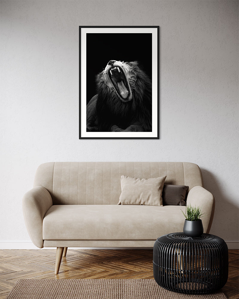 La vie difficile d'un lion - Photo d'art