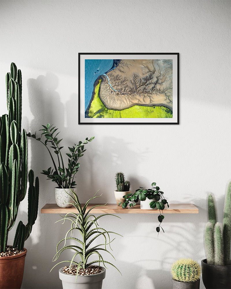 L'arbre de la vie - Photo d'art