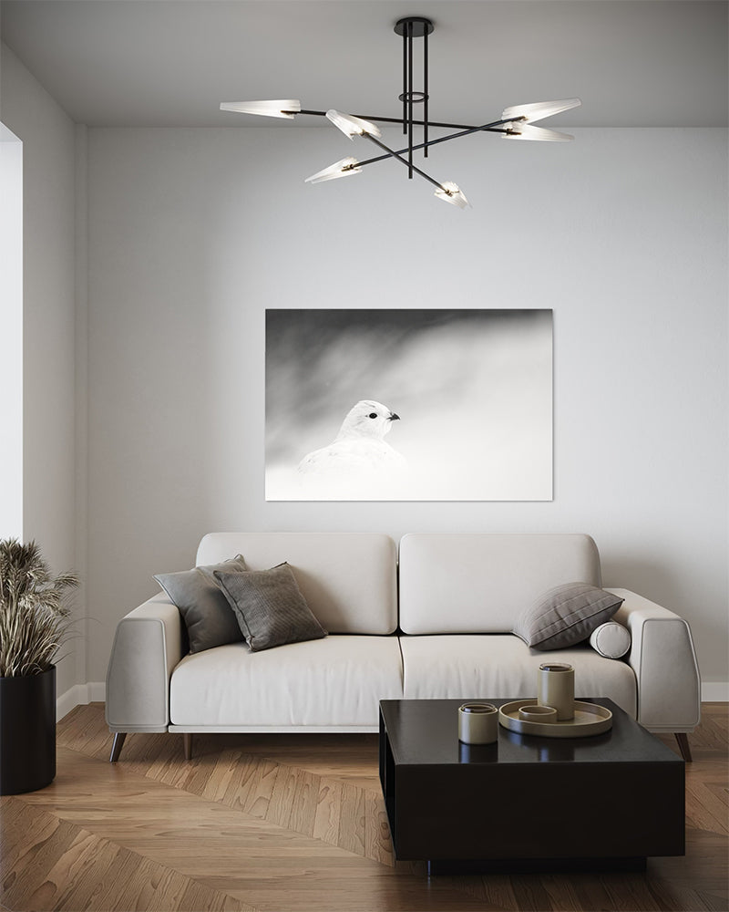 Le casanier - Photo d'art