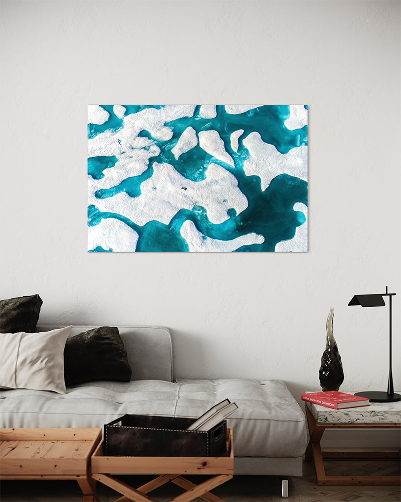 Le repos de l'ours - Photo d'art