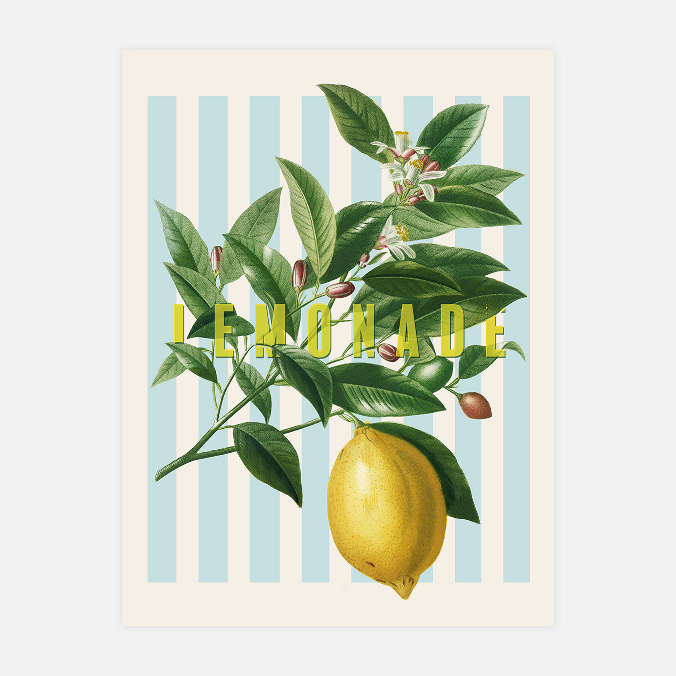 Lemonade - Illustration d'art