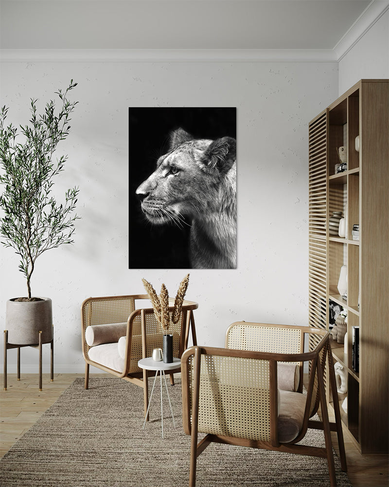 Lionne scruteuse - Photo d'art