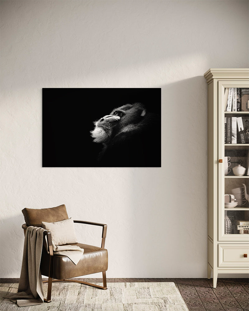 Mandrill songeur de son passé - Photo d'art