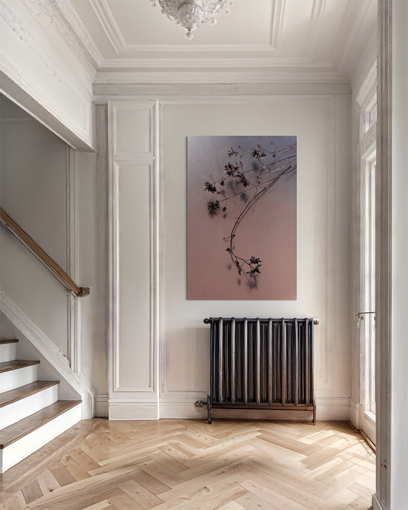 Nature morte - Photo d'art