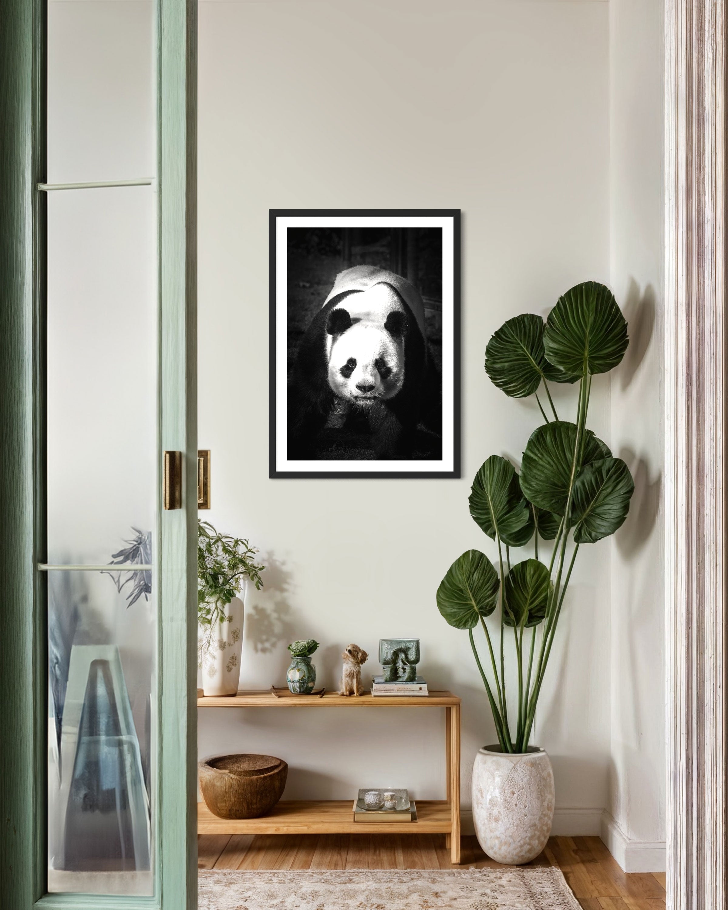 Panda dominant - Photo d'art