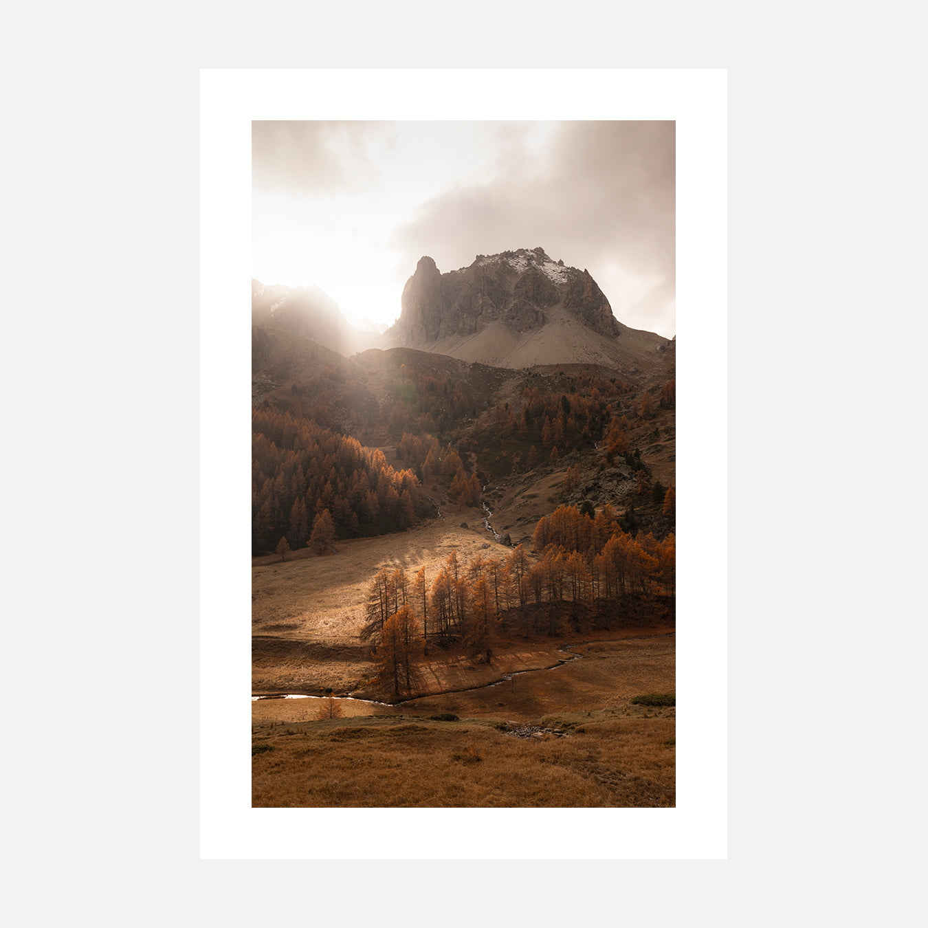 Percée automnale - Photo d'art