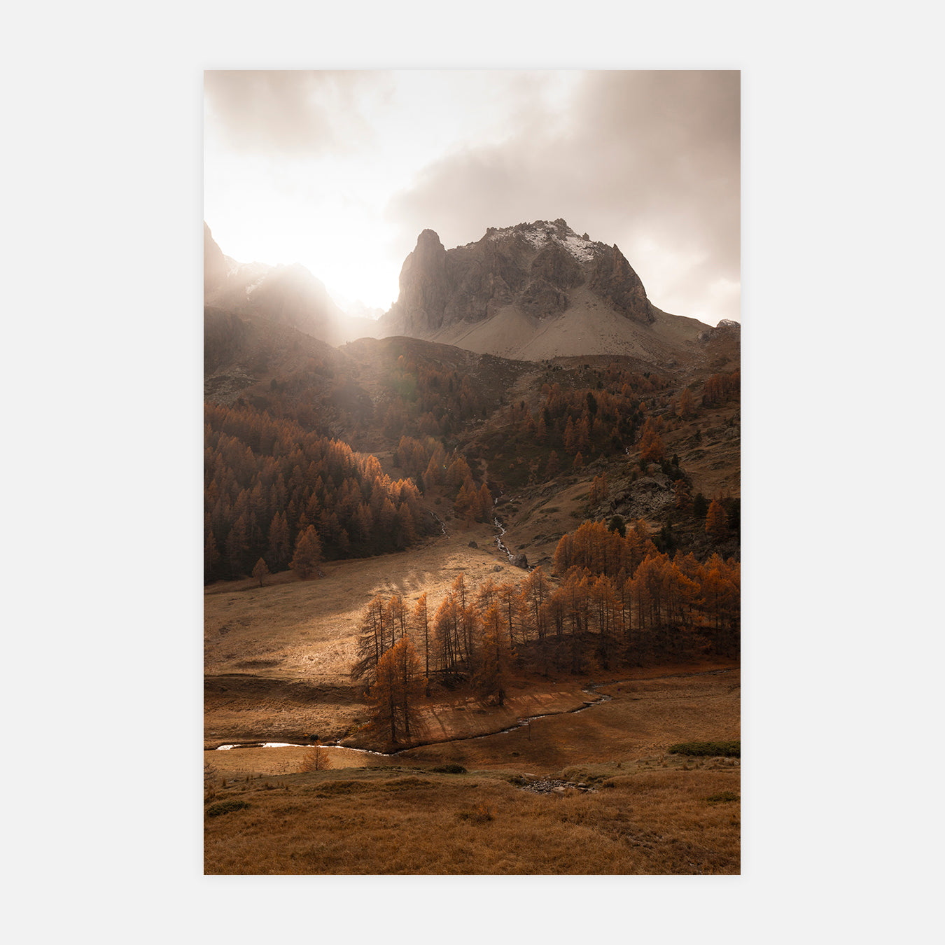 Percée automnale - Photo d'art