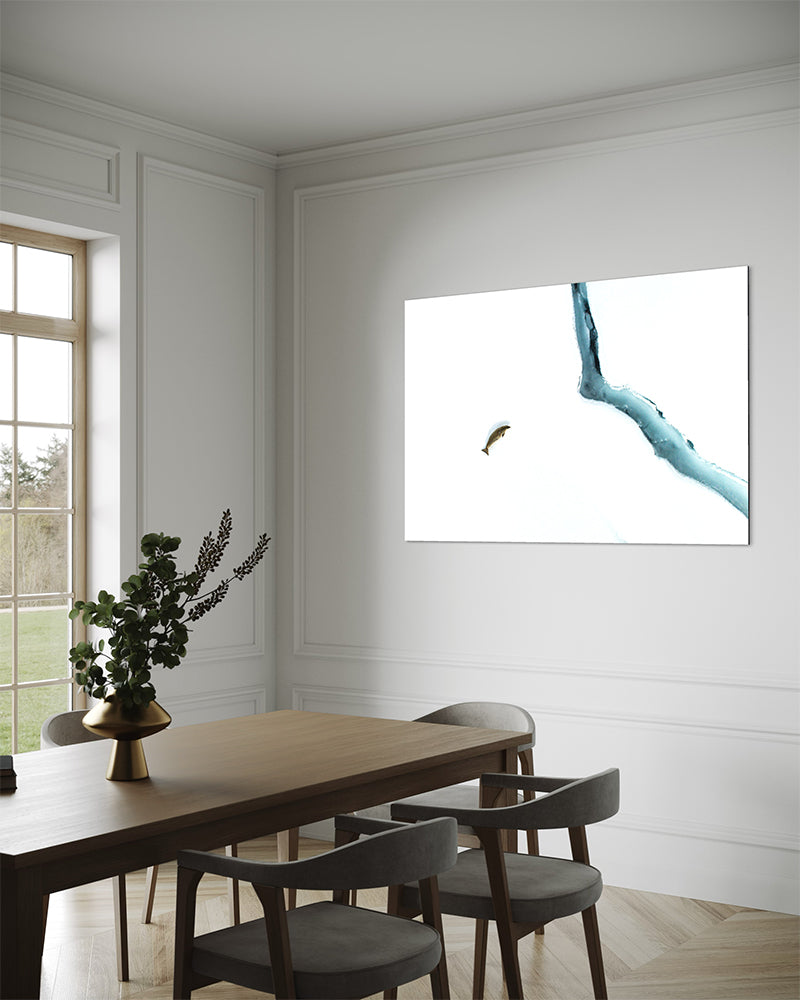 Phoque crabier solitaire - Photo d'art