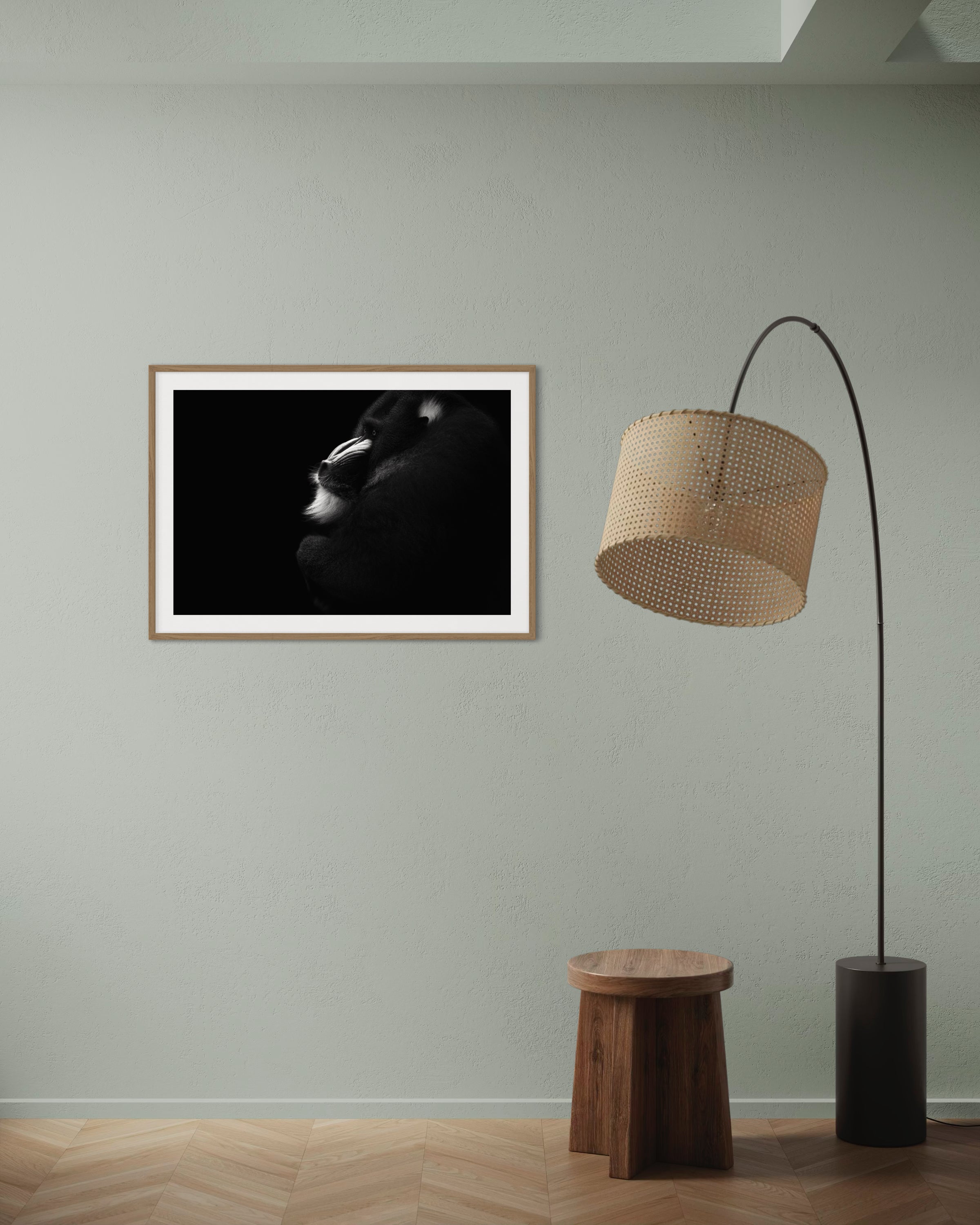 Songe de mandrill - Photo d'art