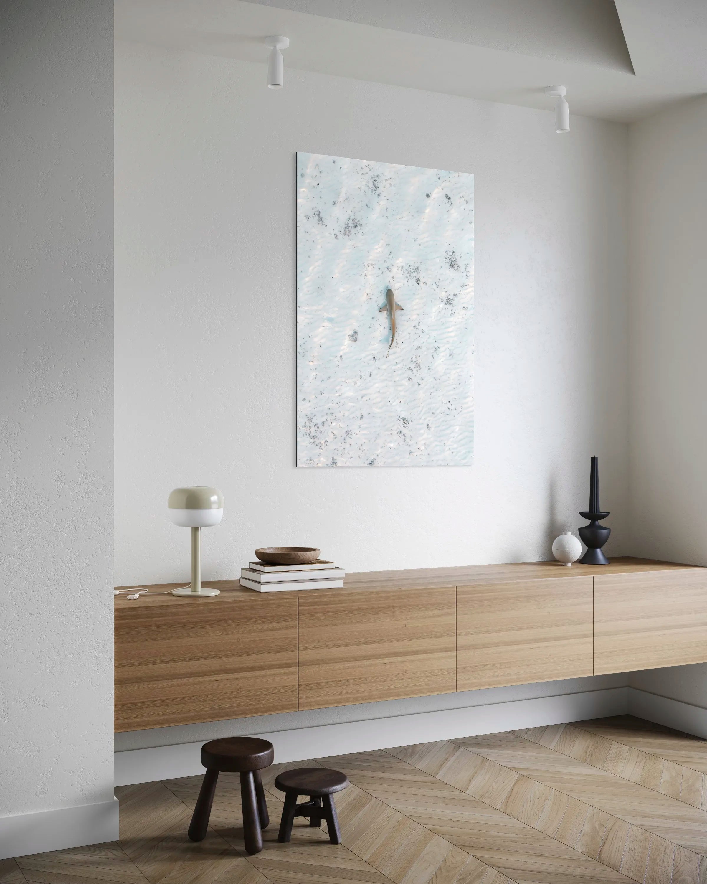 Requin - Photo d'art