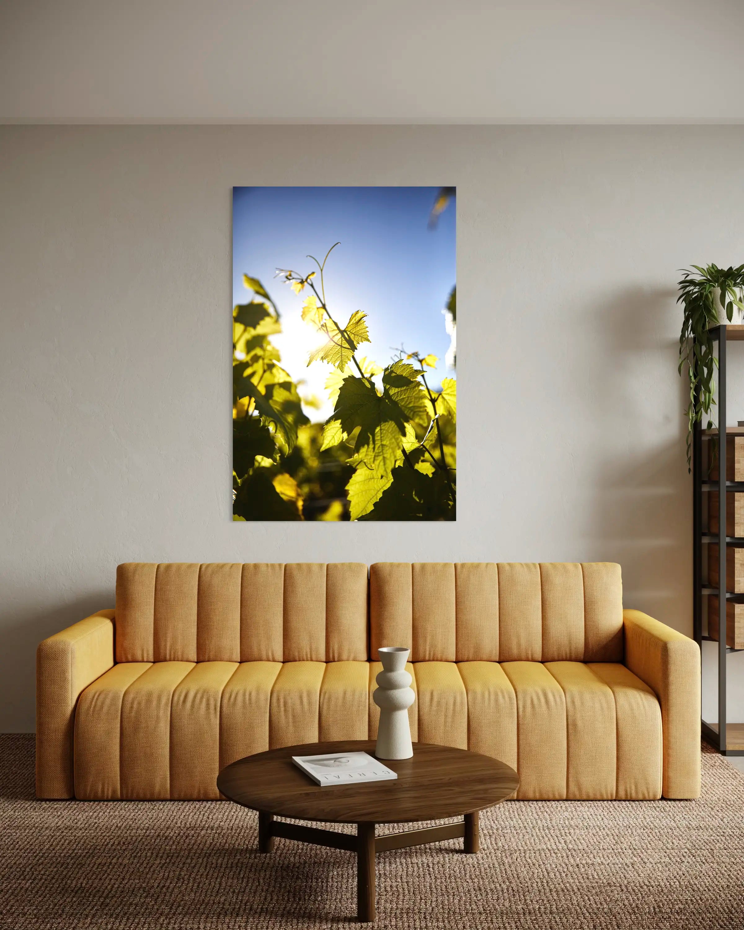 Lumière en feuille - Photo d'art