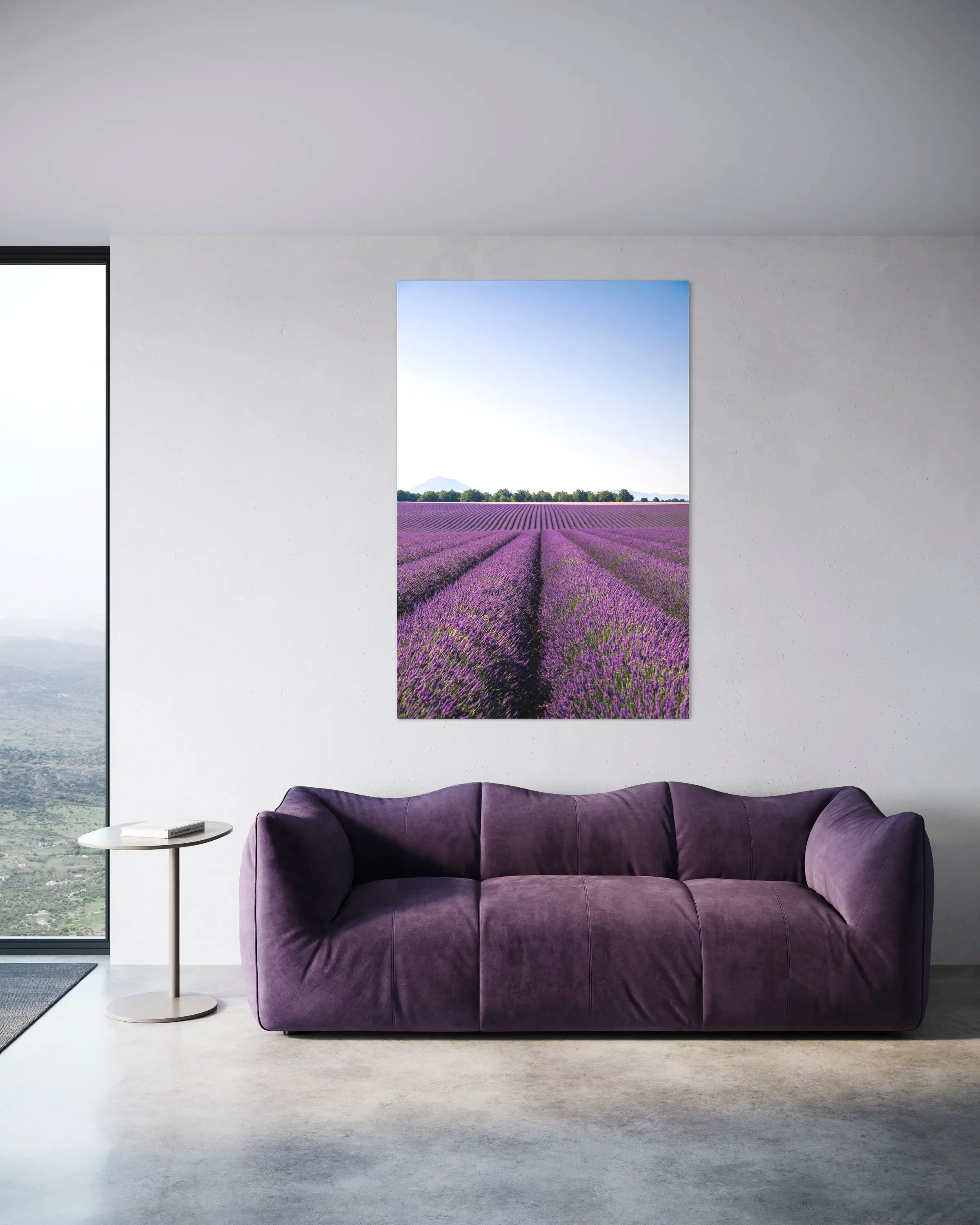 Lavande - Photo d'art