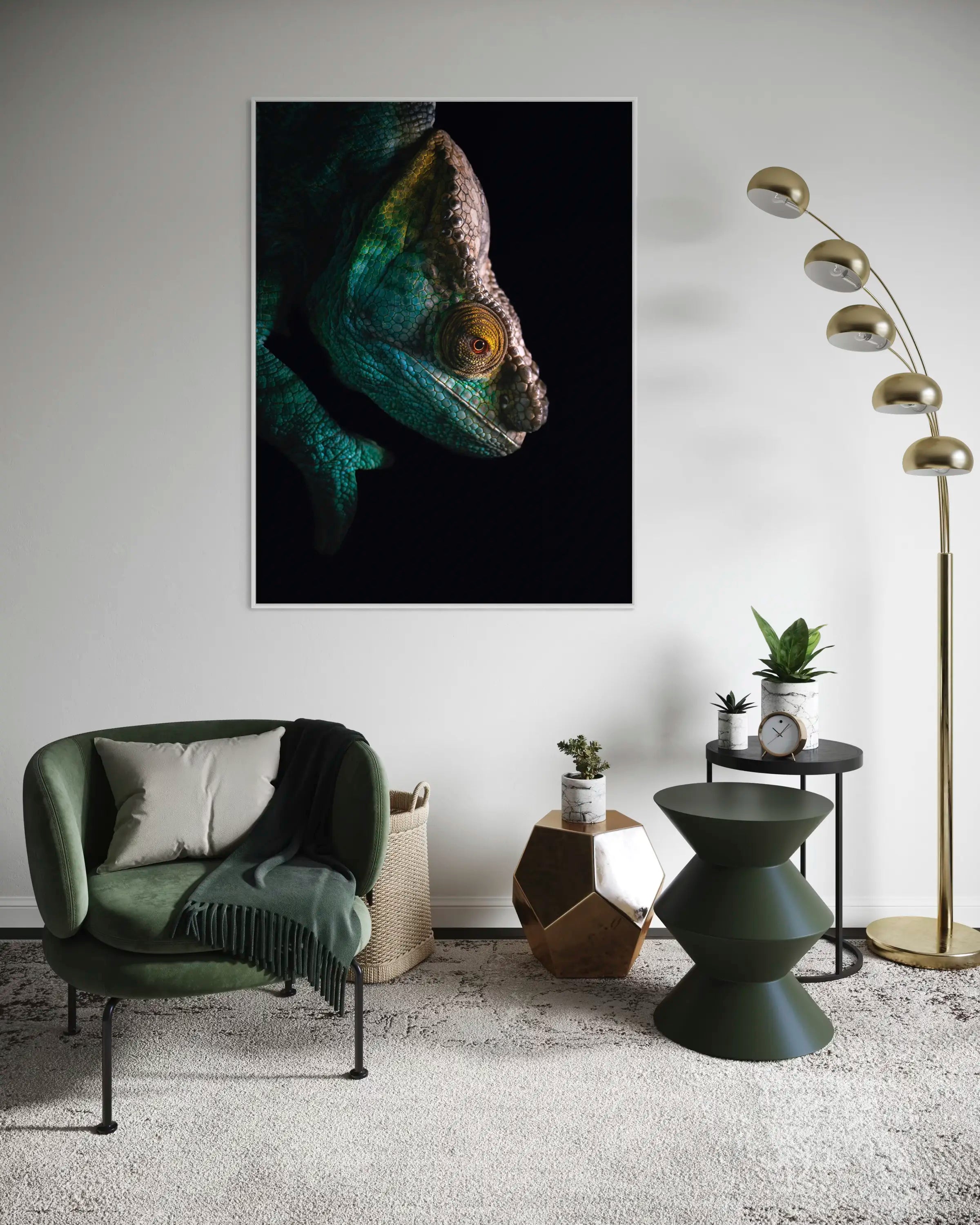 Calumma - Photo d'art