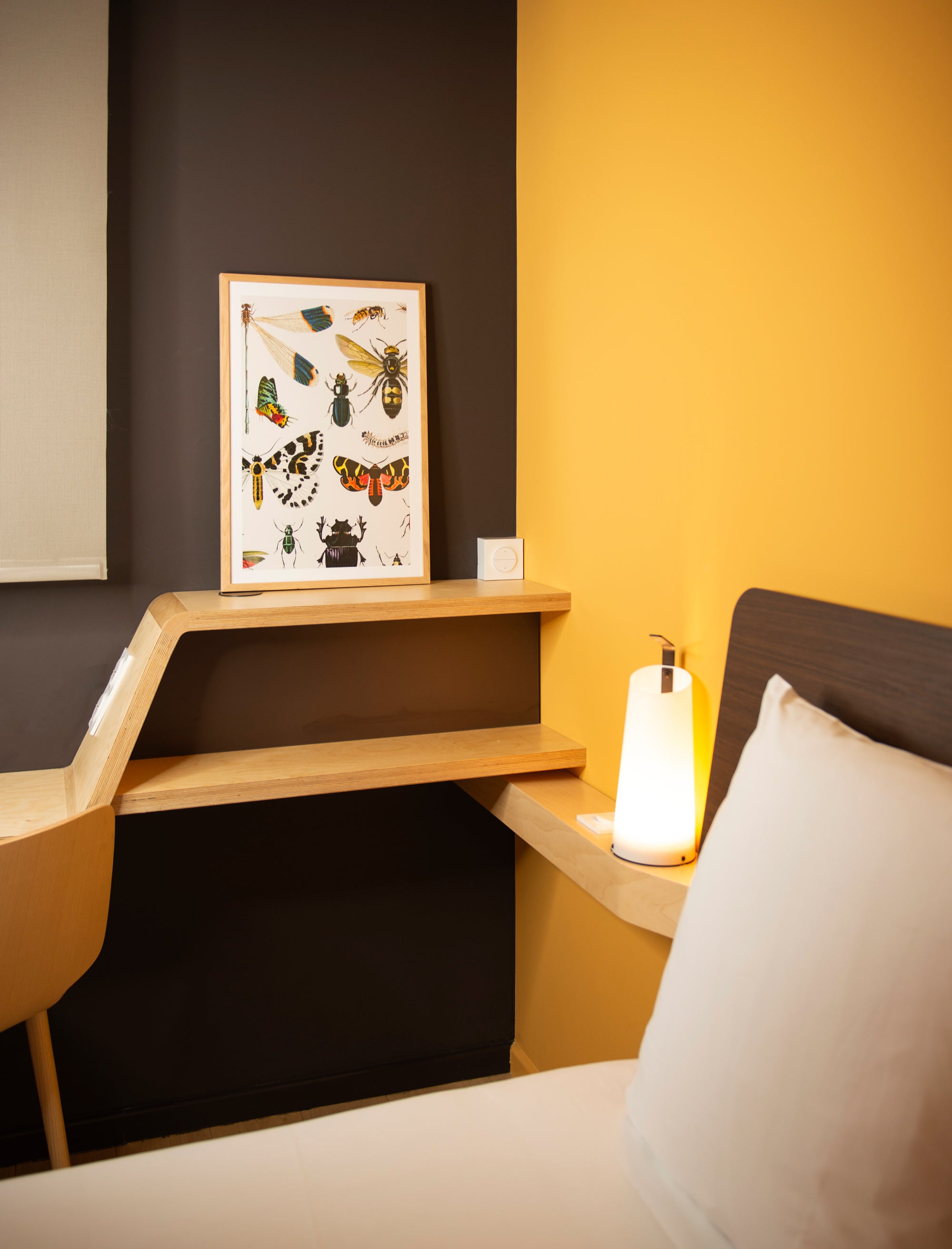 Planche insecte - Illustration d'art