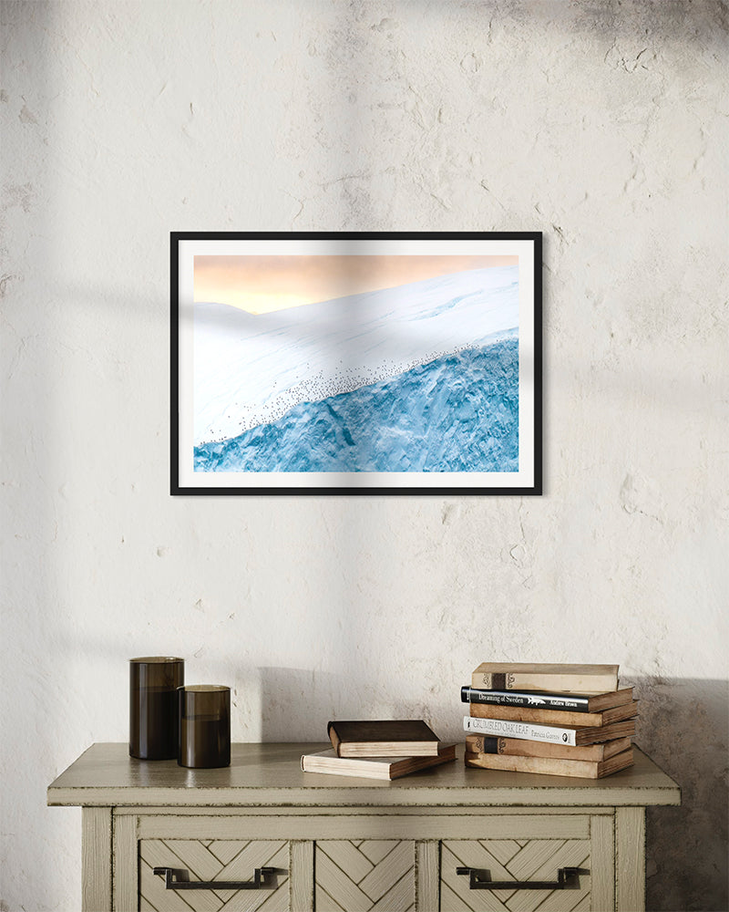 Repos des goélands - Photo d'art