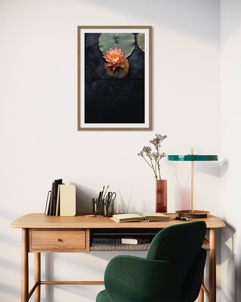 Se réveiller doucement - Photo d'art