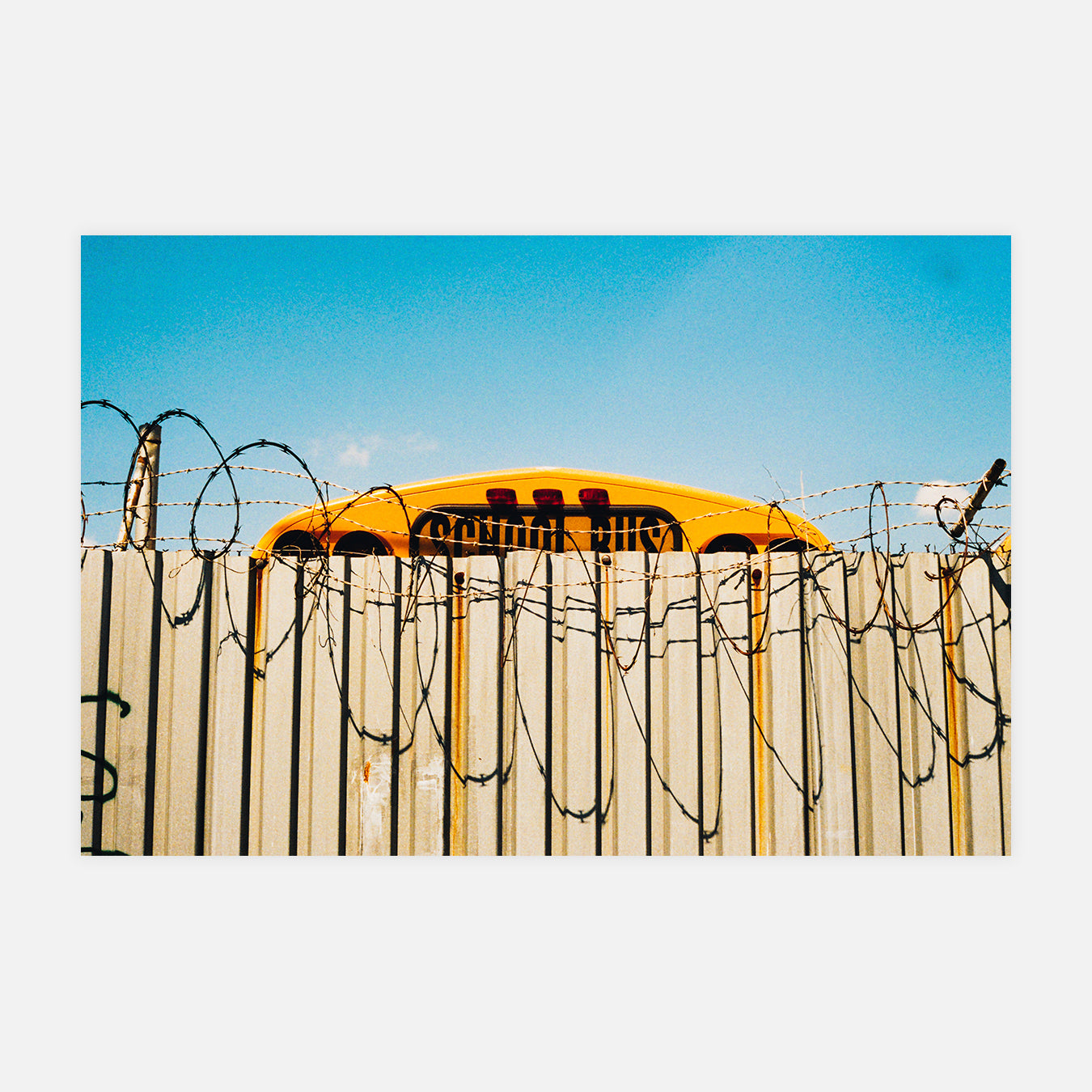 Bus d'école timide - Photo d'art