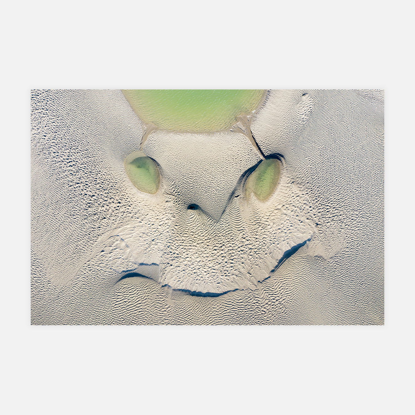 Tête de hibou - Photo d'art