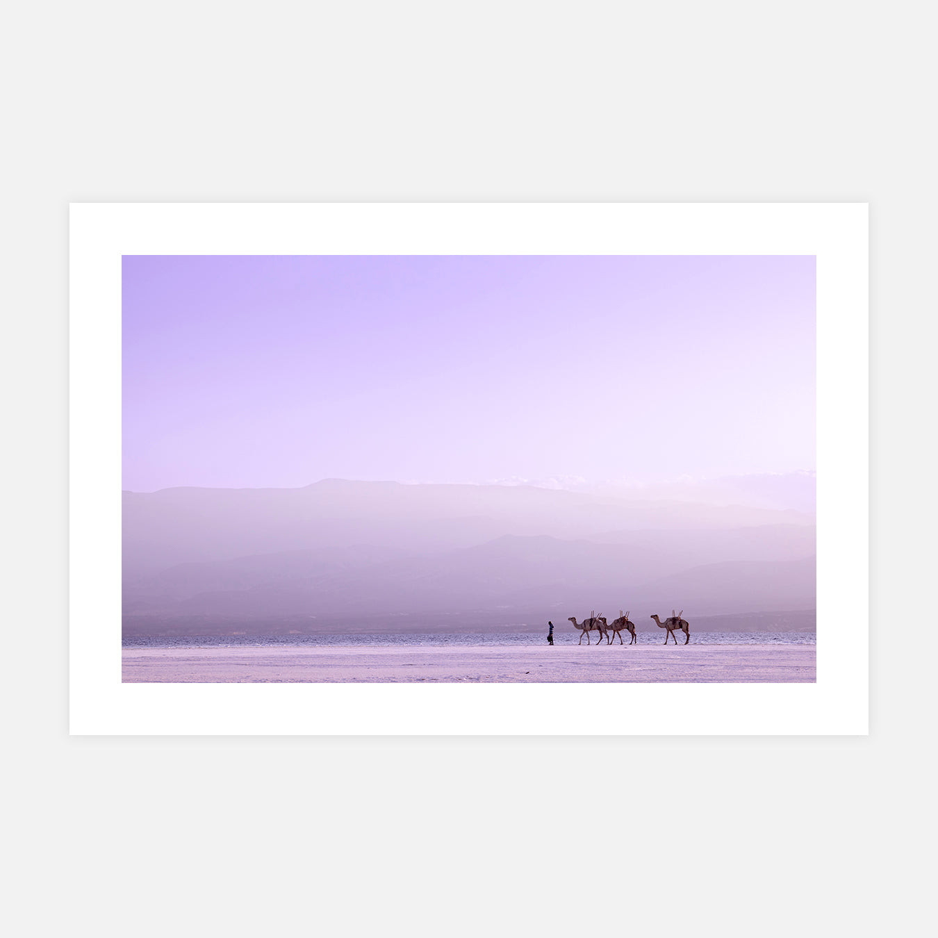 Caravane au Lac Assal - Photo d'art