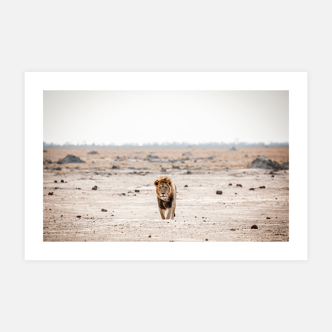 Territoire - Photo d'art