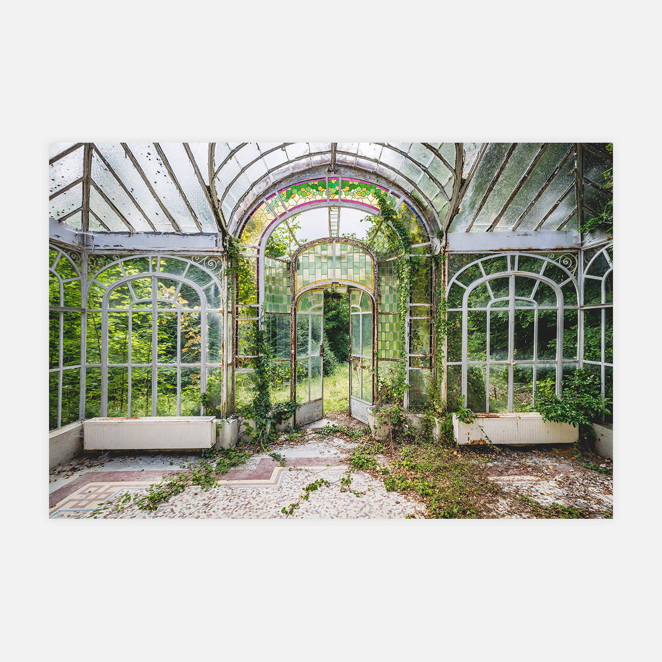 Verrière végétale - Photo d'art