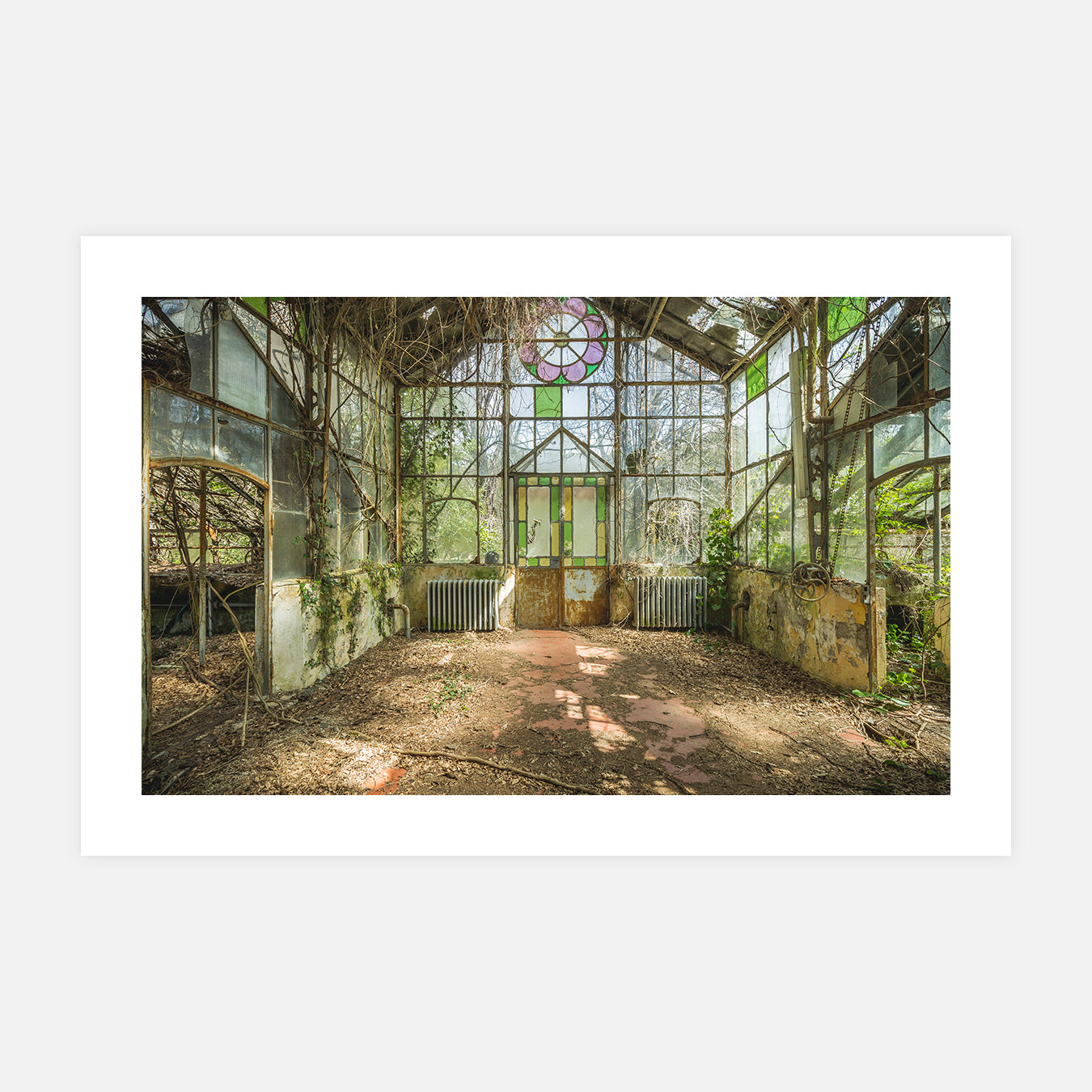 De vert en verre - Photo d'art