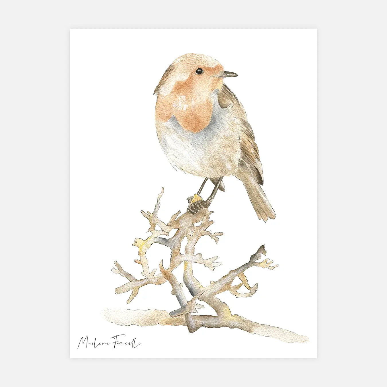 Judy l'oiseau - Illustration enfant