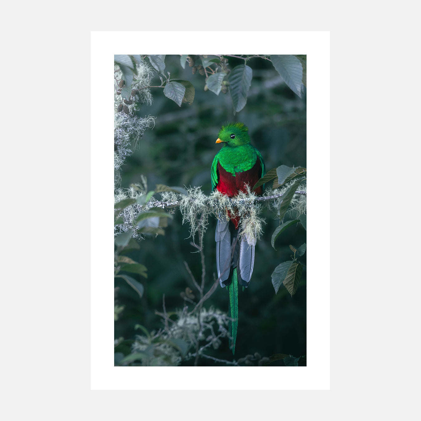 Légende - Photo d'art