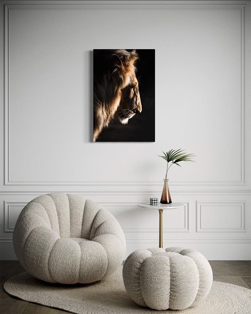 Lion du kruger - Photo d'art