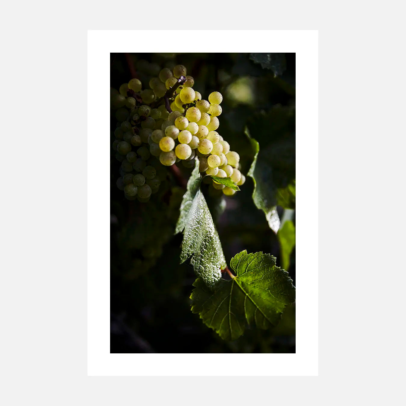 Promesse - Photo d'art