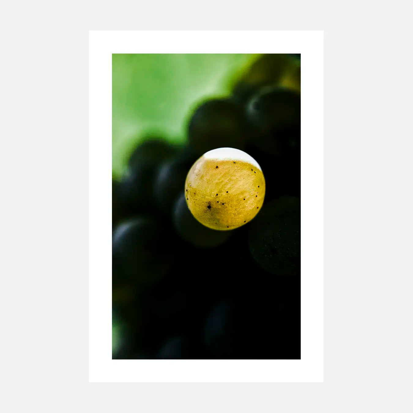 Perle suspendue - Photo d'art