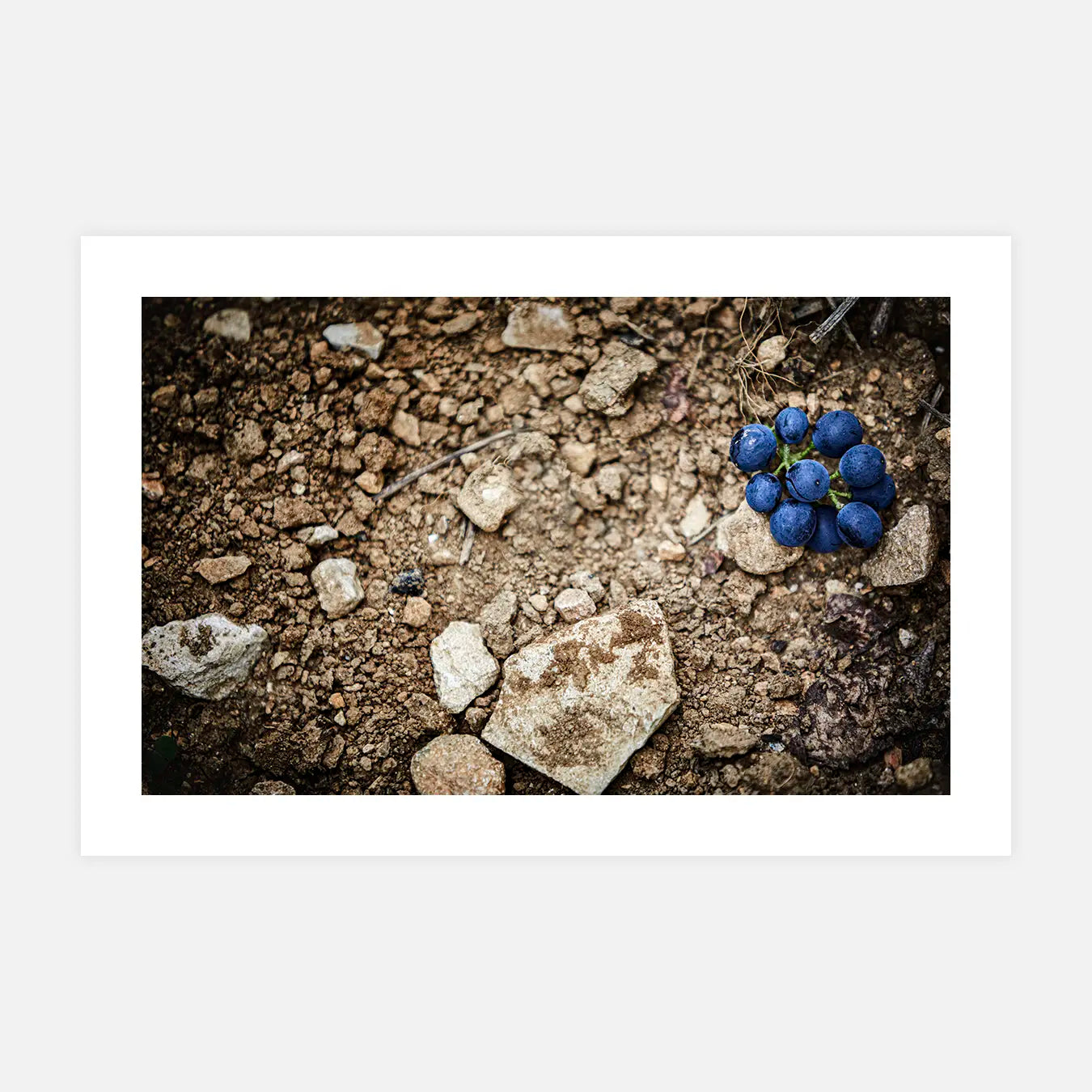 Mémoire du sol - Photo d'art