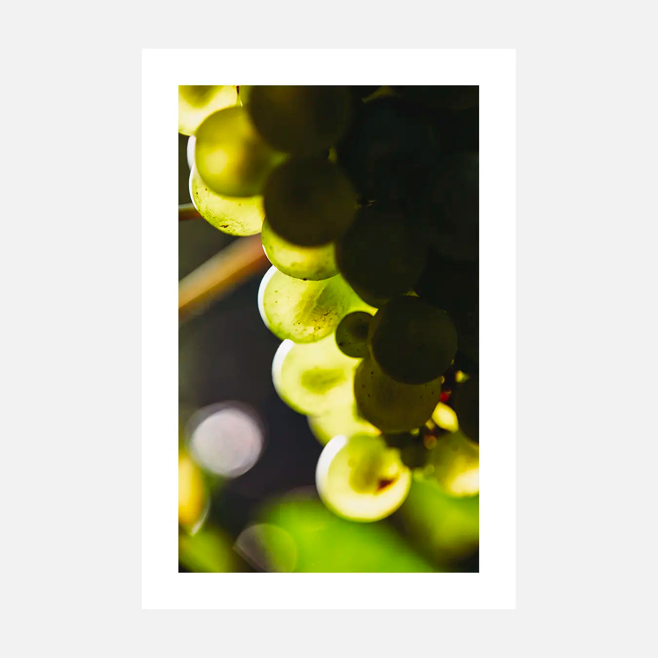 Transparence - Photo d'art