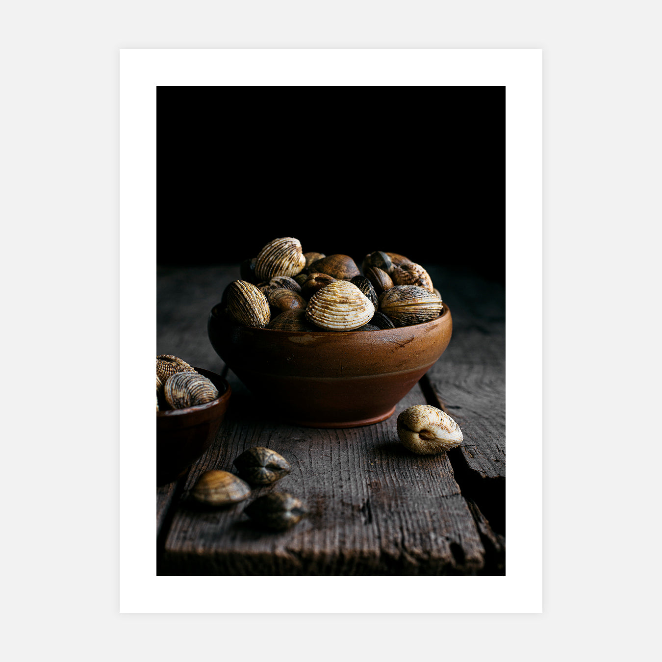 Palourdes et praires - Photo d'art