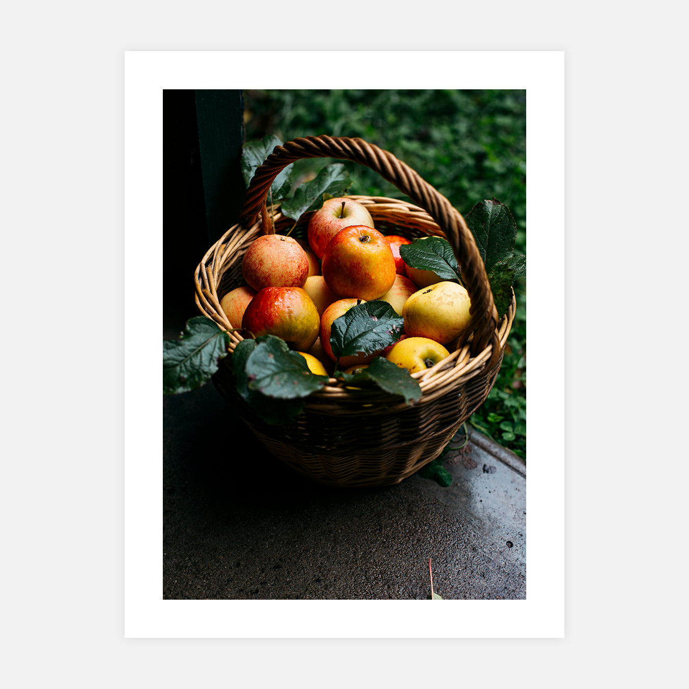 Panier de pommes en extérieur - Photo d'art