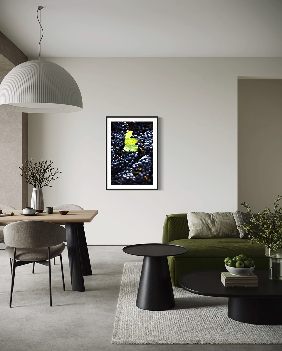 Au coeur de la vendange - Photo d'art