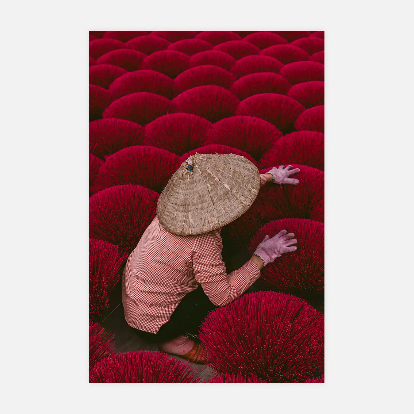 Vietnam II - Photo d'art
