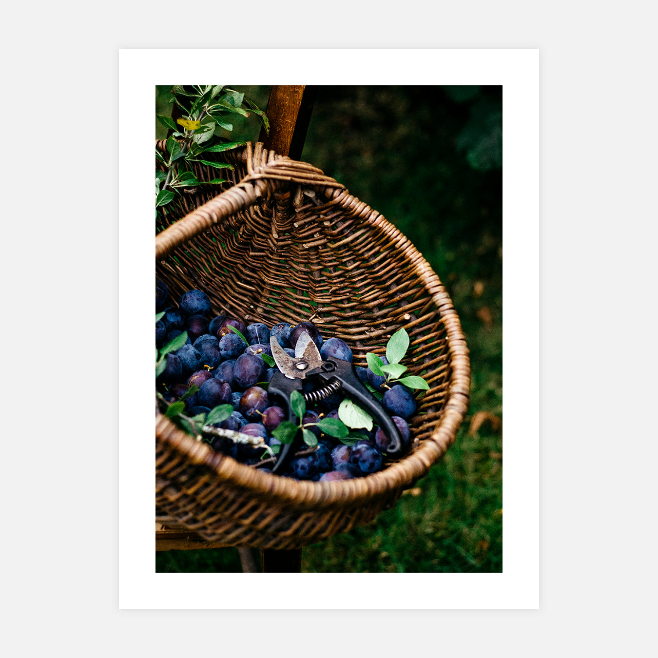 Récolte d’été - Photo d'art