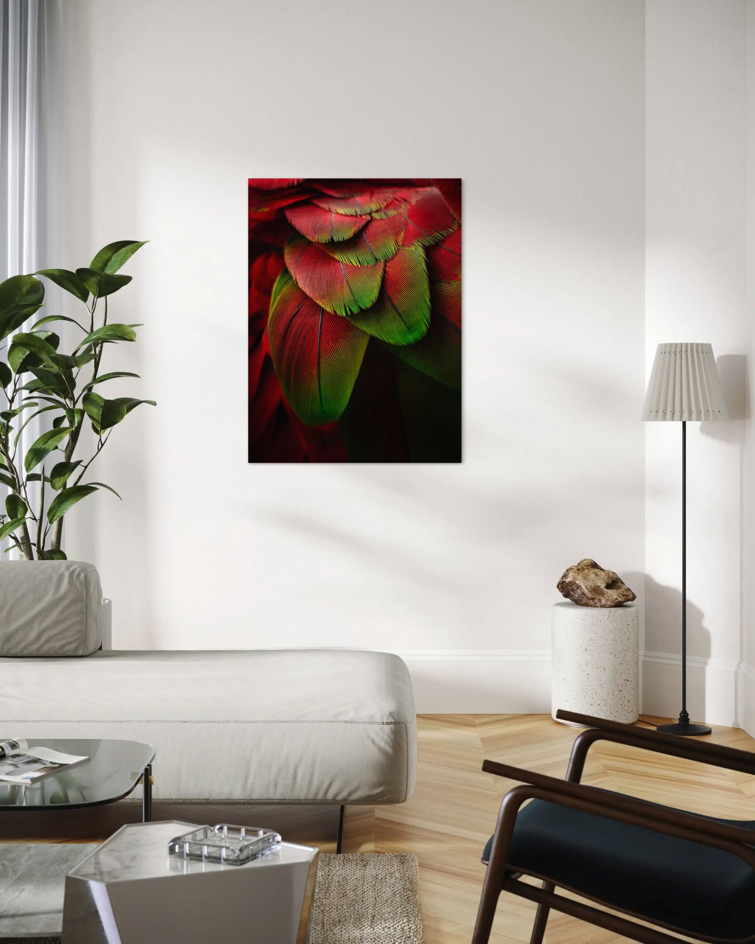 Chloroptere - Photo d'art