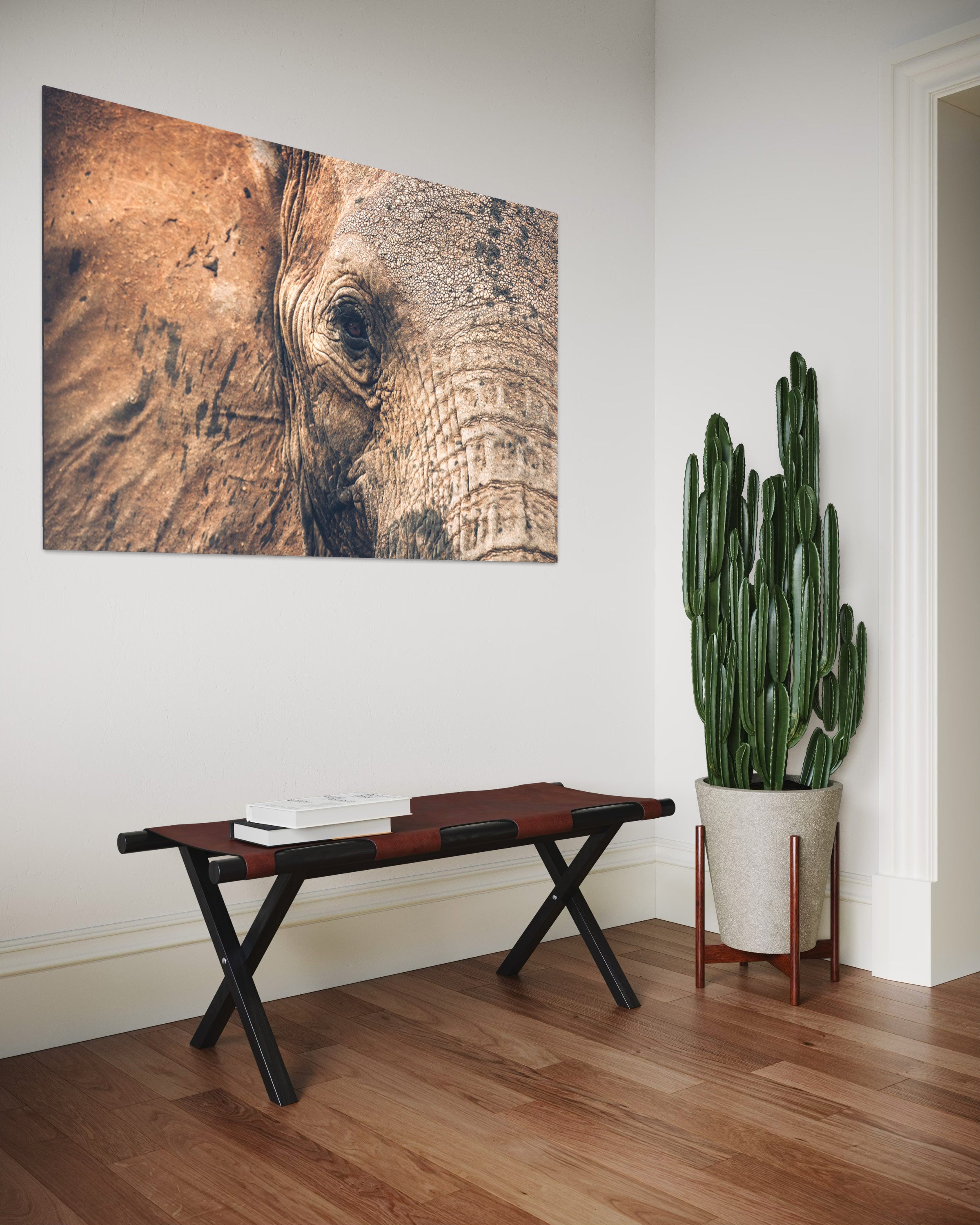 Les yeux doux - Photo d'art