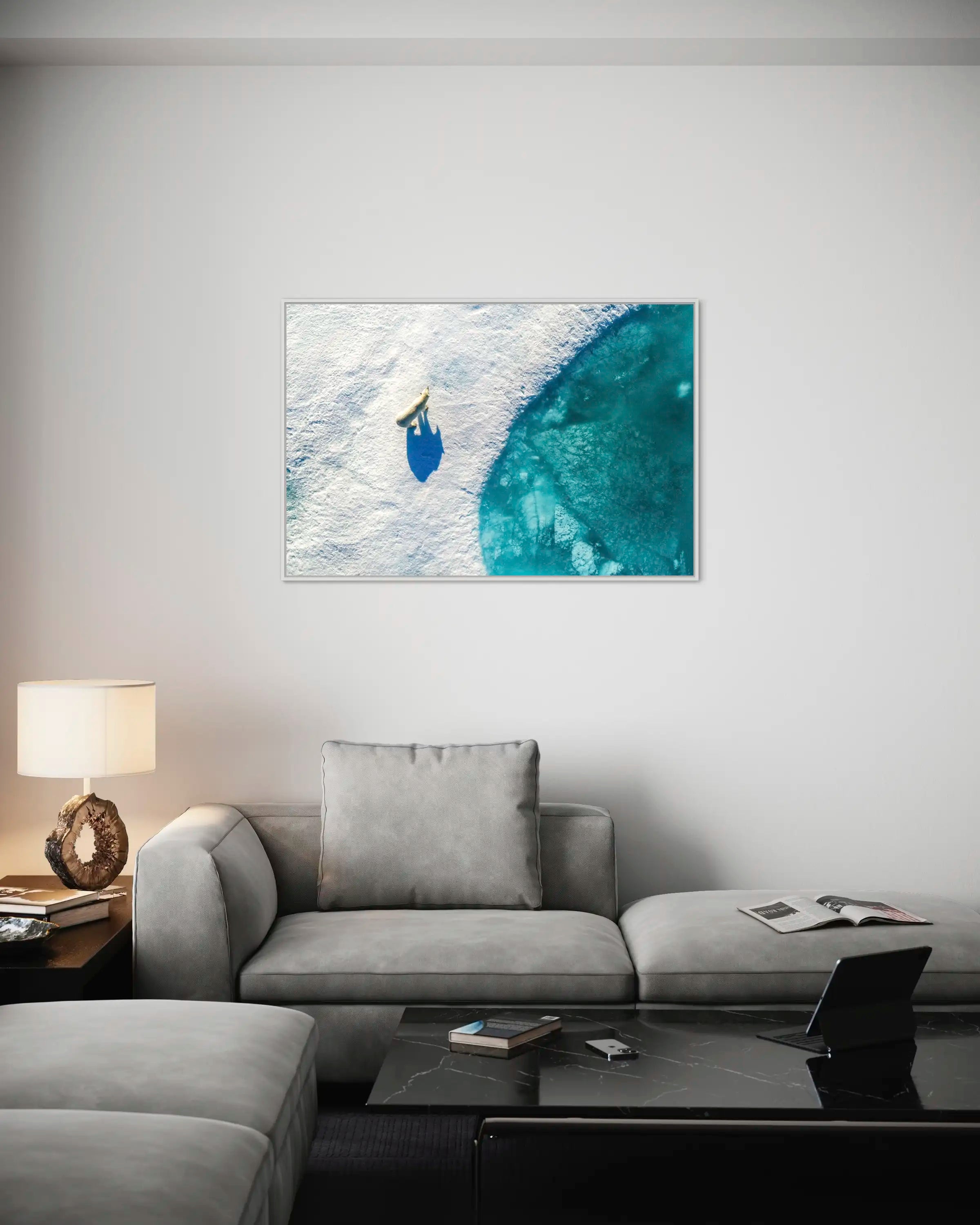 Où vais-je maintenant ? - Photo d'art