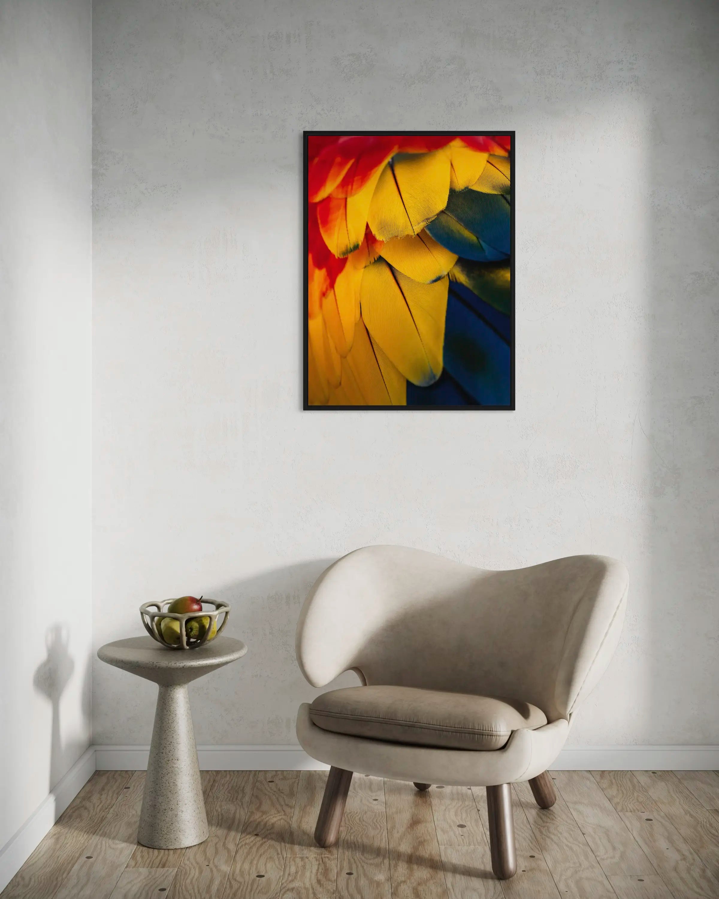 Ara Macao - Photo d'art