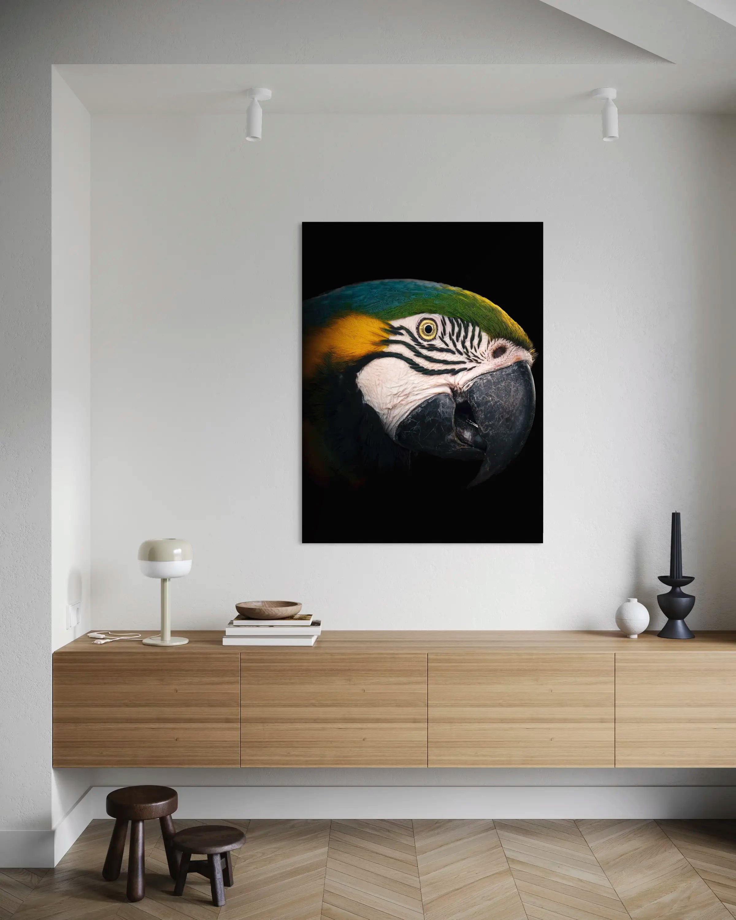 Ararauna - Photo d'art