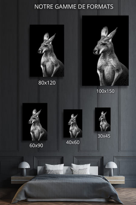 cadre photo kangourou sans lueur deco formats