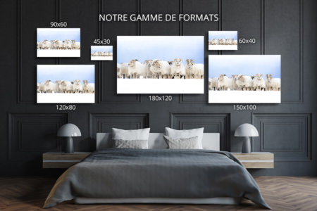 Photo-laine-immaculee-formats-deco