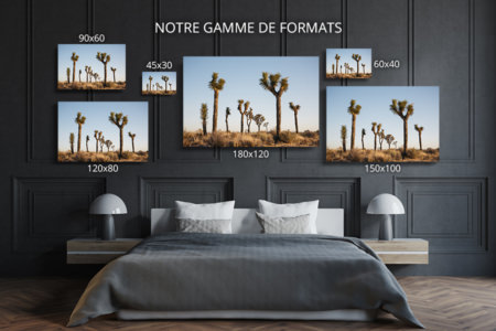 Photo-brother-formats-deco